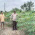 Bhabinkamtibmas Tanah Merah Dampingi Petani Ubi Kayu Dukung Ketahanan Pangan Nasional