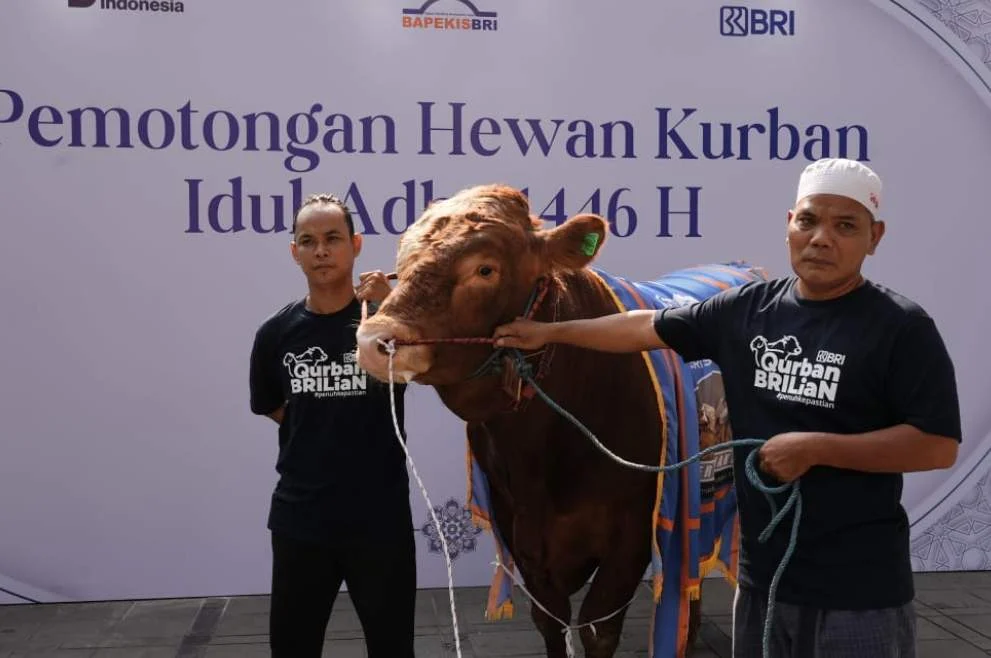 BRI Tangerang Ahmad Yani Salurkan Hewan Qurban untuk Masyarakat dalam Momentum Iduladha 1447 H: Menyambut Hari Raya Iduladha dengan Kepedulian Sosial