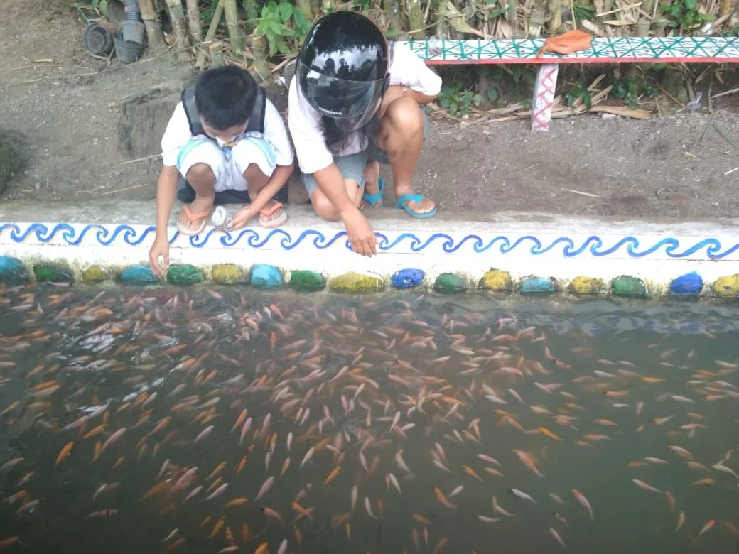 Edukasi Pembenihan Ikan Lokal Air Tawar di Banyuwangi