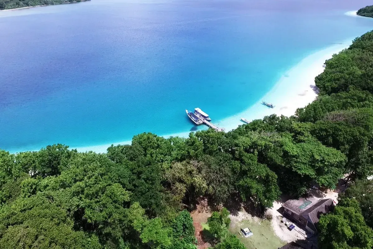 Eksplorasi Pulau Peucang, Surga Satwa Endemik Taman Ujung Kulon