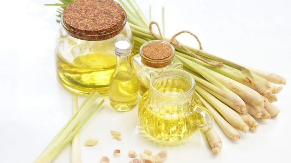 Inovasi Aromaterapi Daun Serai untuk Insomnia Lansia