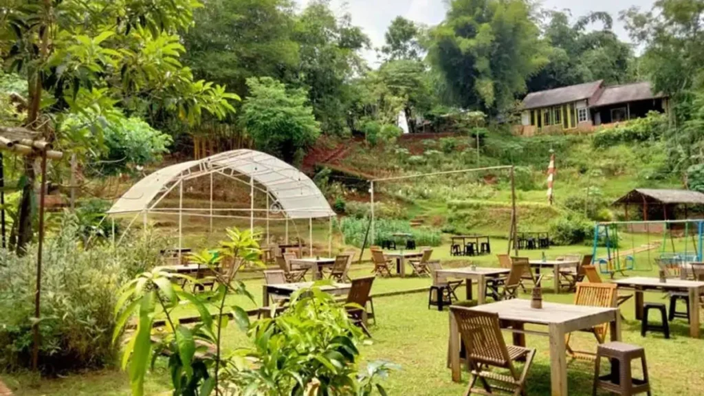 Kampung Konservasi Rimbun: Destinasi Edukasi dan Wisata Alam Terbaik