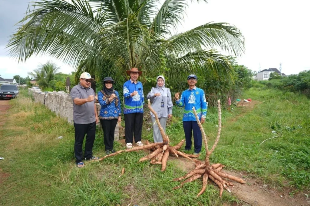 Lampung Siap Kembangkan 10 Ribu Hektare Lahan Singkong untuk Energi Nasional