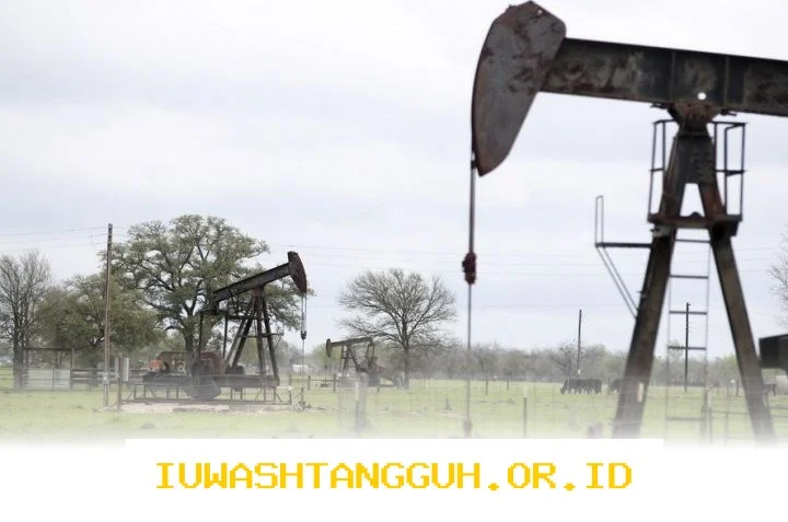 Minyak Dunia Anjlok di Bawah US 80 per Barel, Kapan Pertamax Ikut Turun?