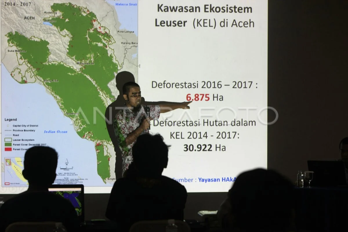 Pemerintah Aceh Bahas Tata Kelola Perizinan di Kawasan Ekosistem Leuser untuk Meningkatkan Pelestarian Lingkungan