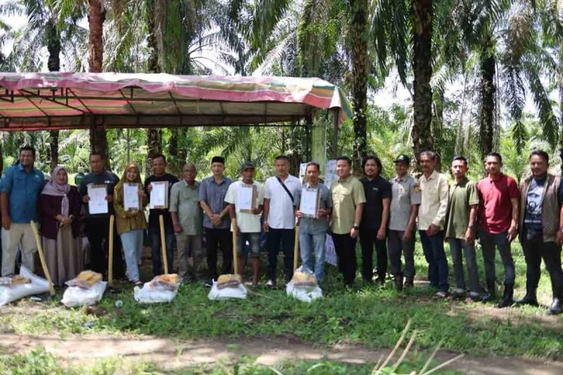 Pemkab Aceh Timur Pulihkan 411 Hektare Kebun Sawit Terdampak Banjir, Meningkatkan Ketahanan Masyarakat