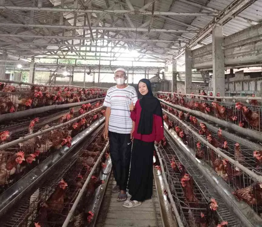 Pemuda Maros Sukses Kembangkan Ayam Hias Impor dari Kandang Rumahan: Kisah Inspiratif Ersa Sahar Reza