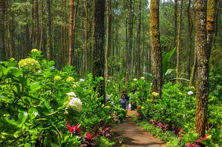Pengembangan Ekowisata Coban Talun: Fasilitas dan Komunikasi Kunci