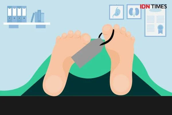Pria di Aceh Jaya Serahkan Diri Usai Bacok Penderes Getah hingga Tewas, Kasus Pembunuhan Terkait Penyadapan Pohon Karet