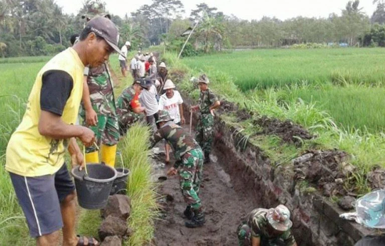 TNI dan Petani Bersinergi Bersihkan Saluran Irigasi di Blitar