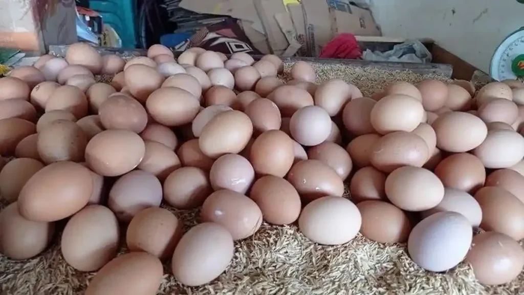 Update Harga Beras Cabai Telur Ayam di Palembang per 26 Juni 2026