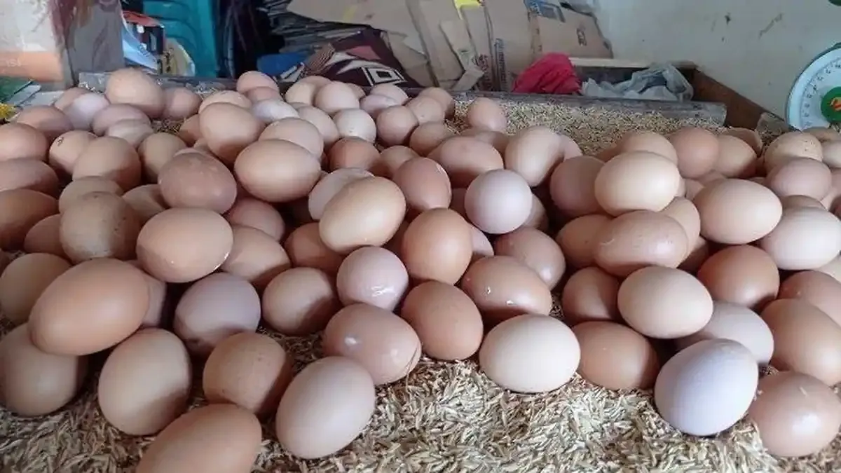 Update Harga Beras Cabai Telur Ayam di Palembang per 26 Juni 2026