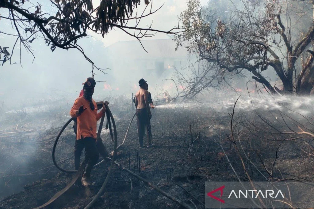 Warga Kota Palangka Raya Diminta Waspada Potensi Kebakaran Saat Musim Kemarau