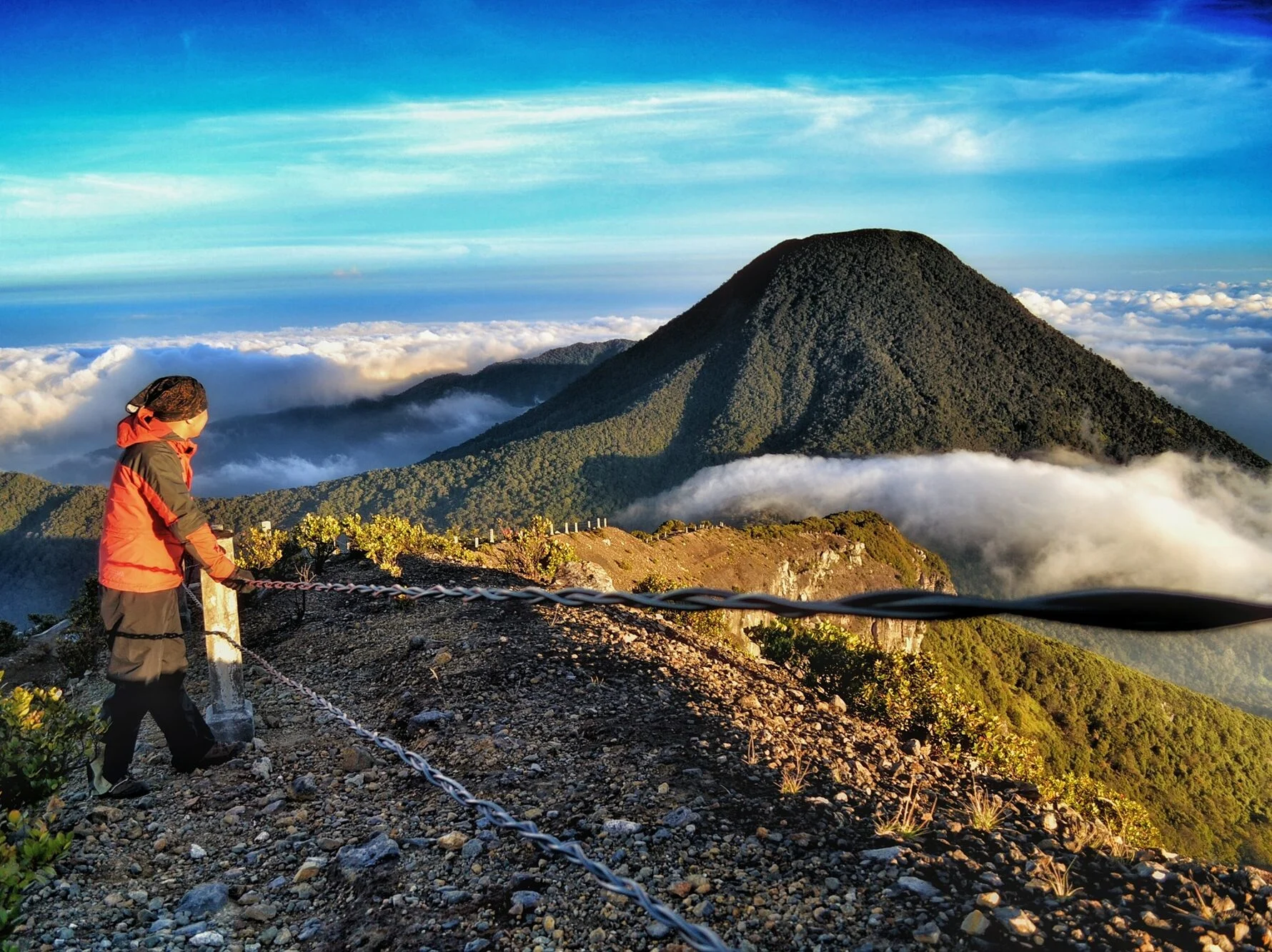 Wisata Tracking Murah di Gunung Gede Pangrango Jadi Pilihan Mahasiswa