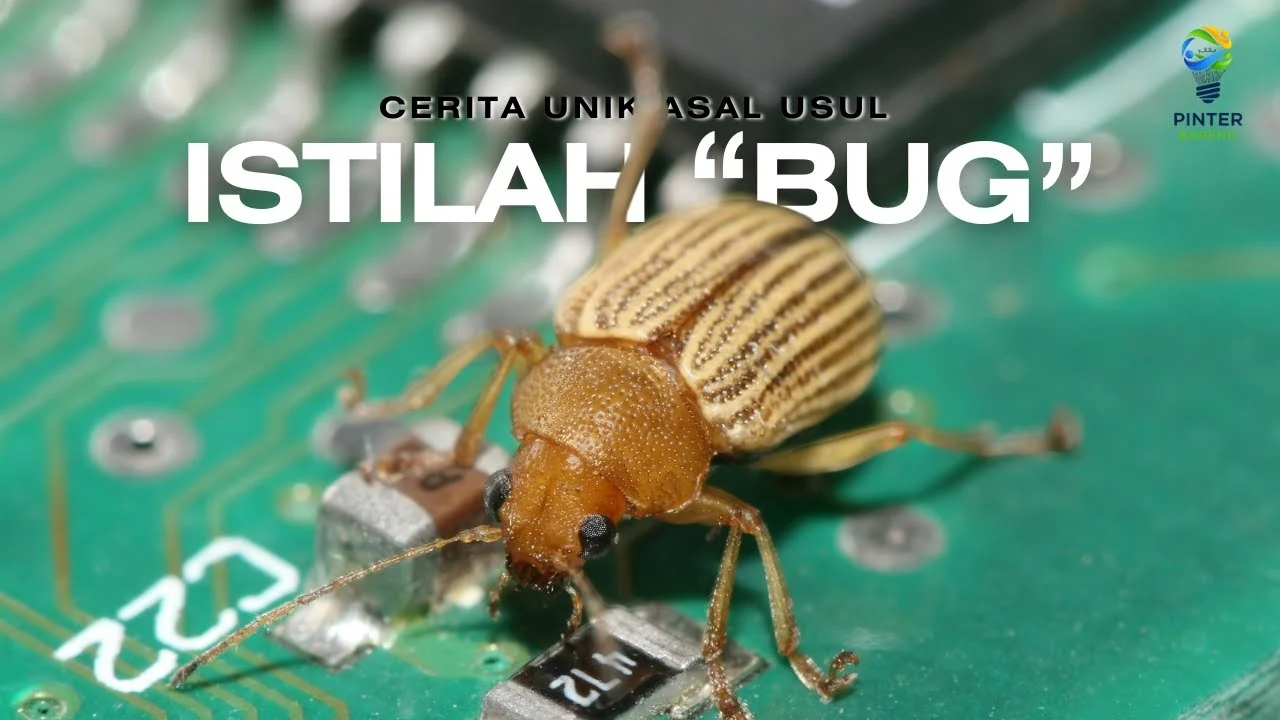 Asal-usul Istilah Bug Komputer yang Ternyata Berasal dari Hewan