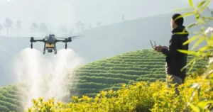 Inovasi Pertanian: 6 Rekomendasi Drone Sprayer DJI Terkini