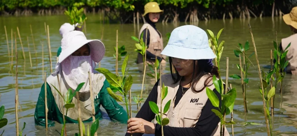 KAI Logistik Tanam 270 Bibit Mangrove Demi Keberlanjutan Lingkungan